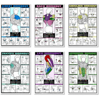 Pixelartz Paper Wall Poster Motivational Workout And Exercises Illustrations Bodybuilding Gym Posters Hd Quality Posters For Home,Office,Room Wall Multicolor 12X18" (Pack Of 6 Posters) (02,Large)