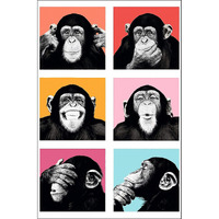 Printnet Chimps Funny Poster For Wall Decor (Laminated, 12X18 Inch, Multicolour)