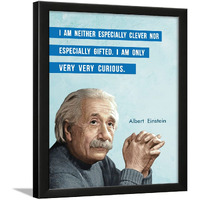 Chaka Chaundh - Suitable Motivational Quotes Frames - Framed Posters With Frame  Albert Einstein Quotes Wall Frames For Office, Student And Study Room - Photos With Quotes - (14 X 11 Inches)