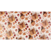 Snow Crafts Gift Wrapping Paper For Packaging, Birthday Gifts, Diwali Decoration, Kids Project Work (Size-18Inch X 27Inch) (10, 18X27 Inches),Multicoloured