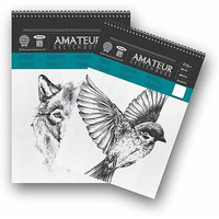 Anupam Amateur Sketch Book B4 | 25 Sheets 50 Pages | 100Gsm | Durable Acid Free Drawing Book | Top Spiral-Bound Sketchbook For Artists & Kids For Marker Colored Pencil Charcoal Pastels (Set Of 2)