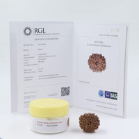 Shivaratna 11 Mukhi/ Eleven Face Rudraksha With Certificate Of Authenticity (Elite Range) Collector Size