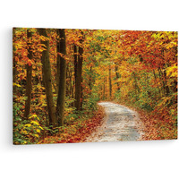 Truecanvas Papermoon Fototapete Pathway, Wooden Framed Canvas Paintings For Living Room | Bedroom | Office | Gallery | Ready Wall Mount Canvas Wall Art Painting | Size - 12 X 18In, Ct0803