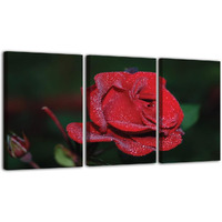 Truecanvas Abstract Canvas Wall Art For Living Room Wall Decor For Bedroom Office Decoration, Wall Decoration Large Painting Artwork Set Of 3 Piece, Each Panel Size 12 X 18, S31515