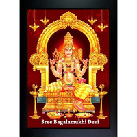 Frame Wala Baglamukhi Photo Frame Wall Painting For Home Decoration And Gifting (10 X 13.5 Inch)