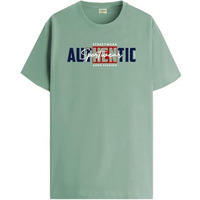 Adro Men's Graphic Printed 100% Cotton T-Shirt - Regular Fit, Printed T-Shirts For Men (Rn24-Spt-Pt_Pista_S)