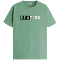 Adro Men's Solid Regular Fit T-Shirt (Rn24-Nky-Pt_Pista