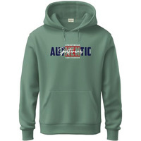 Adro Men's Cotton Blend Neck Hooded Sweatshirt (H24-Spt-Pt-L_Pista)