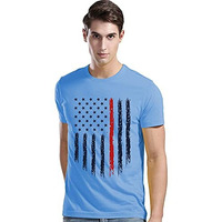 Adro Men's Regular Fit T-Shirt (Rnr-M-Usa-Sk_Skyblue_L)
