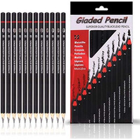 ABOUT SPACE Professional Shading & Drawing Pencils Set - (12 Lead Pencils) Assorted Gray-Black Sketching Pencils of 12 Shades for Artists, Students, Beginners - (B,2B,3B,4B,5B,6B,7B,8B,HB,H,2H & F)