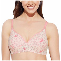 Enamor Non-Wired Racerback Strap Lightly Padded Womens T-Shirt Bra (White 36D)