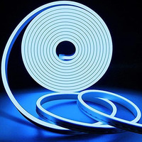 Rufous 5 Meter LED Neon Light Rope, Waterproof Outdoor Flexible Strip Light with Adapter for Diwali,Christmas,Home Decoration. (Blue)