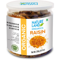 Natureland Organics Raisins/Kismis 250 Gm - Organic Raisins