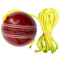 Toyshine Cricket Hanging Ball For Shot Practice, (Leather, Sstp, Red)