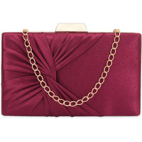 Lavie Women's Vertical Cheer Frame Clutch | Ladies Purse Handbag