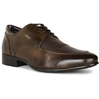 Bata Men's Hagrid Derby Brown Formal Shoe - Classic and Elegant Dress Shoes for Office, Weddings, and Special Occasions