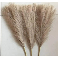 Satyam Kraft 3 Pcs Small Faux Pampas Grass | Fluffy Artificial Flowers For Home Decor, Office, Bedroom, Wedding & Festival Dcor | Leaves & Grass Arrangement (Light Brown,Without Vase/Pot) (41 Cm)