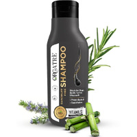 Orgatre Tea Tree, Ginger & Rosemary Anti-Dandruff Shampoo - 250Ml | Soothes Scalp & Reduces Flakes | No Dryness | For All Hair Types | Men & Women