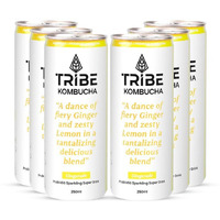 Tribe Kombucha | Weight Management - Detox - Antioxidant | Naturally Sparkling Probiotic Herbal Tea |Green Tea With Ginger & Lemon | Gut Friendly | Gluten Free | Gingerade | Pack Of 7 |250 Ml