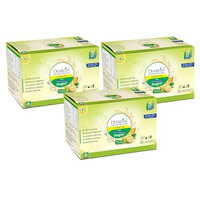 Diabliss Lemon Tea Black, Teabags Made With Low Gi Sugar - Free From Chemical/Artificial Sweetener - Low Gi - 300 Grams Sachet Box - Combo Pack Of 3(90 Sachets), Black Tea