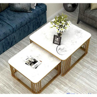 Rizik Store Iron Frame Handmade Square 20"X20" Coffee Table/Nesting Table/Side Table/Center Table With Marble Mdf White Top For Living Room/Drawing Room/Balcony Gold (White) (Set Of 2)