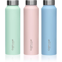 Caspian /// Astra Stainless Steel Water Bottle (Mist Green, Light Pink & Sky Blue, 1 Litre, Set Of 3)| Leak Proof Thunder For Fridge Home Office Travel School Kids Boys Girls Adults Sports Gym Yoga
