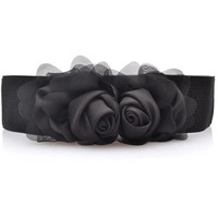 Shining Diva Fashion Metal Waist Belt For Women Dresses Jeans Skirts Hip Saree Belly Chain Western Traditional (Black) (14815Wb)
