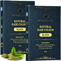 The Ayurveda Rituals - Natural Hair Colour Black For Women & Men | 100% Natural | Ammonia Free & Ppd Free | Herbal Organic Hair Colour | Plant-Based | Natural Henna Powder | 9 Organic Ayurvedic Extracts L Natural Black - 100Gm (2 Pack)