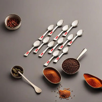 Hazel Stainless Steel Masala Spoons For Small Containers Mini Spoon For Masala Dabba Spices Spoons, Set Of 12, 8.8 Centimeters