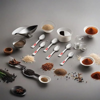 Hazel Stainless Steel Masala Spoons For Small Containers Mini Spoon For Masala Dabba Spices Spoons, Set Of 6, 8.8 Cm