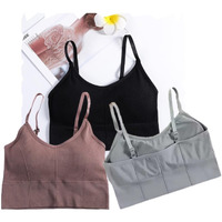 Acnos Black Pink Grey Women Cotton Padded Wire Free Sports Bra Fitness Yoga Gymwear Fashionable Lifestyle Outdoor Life Free Size Pack Of 3