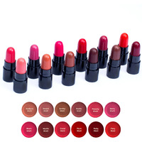 Biomuni Ayurvedic & Natural Creamy Matte Lip Hydrating & Moisturizing Minis Lipsticks Set For Women | Jojoba, Castor And Rosemary Oil With Vitamin E | Proudly The Biggest Mini Lipstick Combo Pack