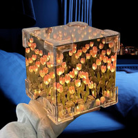 Jainchan Mirror Tulip Lamp Diy Material Kit Square Cube Infinity Handmade Lamp|20 Flowers, Led Strip, Leafs Stones|Girlfriend Birthday 2025, Transparent