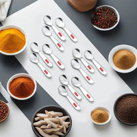 Hazel Stainless Steel Spoon For Spice Box | Small Mini Spoon For All Tea Coffee Sugar & Spices Set, Set Of 12, 8.4 Centimeters