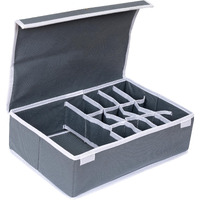 Anytime Undergarment Organizer | Storage Dividers For Storing Socks, Bras, Ties, And Scarves | Household Use Wardrobe Storage Box | Pack Of 1