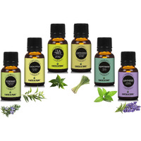 Earth N Pure Essential Oil Pack Of 6 (Rosemary, Eucalyptus, Tea Tree, Lemongrass, Pipperment & Lavender) 15 Ml Each.