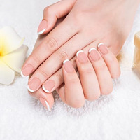 Renee French Stick On Nails - Ftn 01-24 Reusable Artificial Fake Nail Set- Lightweight & Long Lasting- Easy To Use- Quick Fix For Festivals & Special Occasions