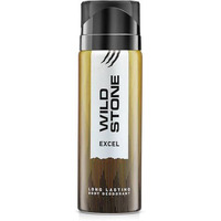 Wild Stone Excel Deodorant For Men, 200Ml | Best Deo For Office | A Long-Lasting Body Spray For Men | Excel Body Spray With Woody Fragrance