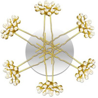 Temperia (6Pcs) Pearl U Pins Hair Accessories For Women & Girls - Decoration Pearls Beads Hair Clip For Bride Hairstyle - For Wedding/Parties (Mn02)