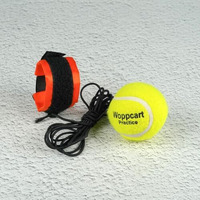 Dorlank Cricket Tennis Hanging Ball For Kids Easy To Hang & Ideal For Indoor And Outdoor Hanging Cricket Practice Rope Ball For Boys And Adults, Green (Pack Of 1)