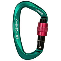 Proberos Climbing Carabiner Clip, Snap Hook Clip D-Shape Screwgate Locking Carabiner Clip 25Kn Heavy Duty Aviation Aluminum Carabiner Anchoring Carabiner, 10 X 5.8 Cm