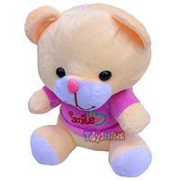 Toyshine Soft Toy For Kids Boy Girl Baby | Soft Feather Cotton Fabric, Smile Bear, Mauve, 17 Cms