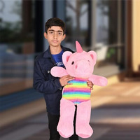 Besties Soft Toys Lovers, Long Unicorn Soft Toy - Height 2 Feet, Birthday Gift For Girls/Boys Plush & Stuffed Toys (2 Feet, Long Unicorn Pink)