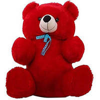 Hug 'N' Feel Soft Toys Teddy Bear, Soft Toys | Soft Toys Girls, Teddy Bears Birthday Gift For Girls/Wife, Boyfriend/ Husband | Wedding/Anniversary Gift For Couple Special |Extra Large Toys (Red)
