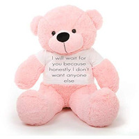 Hug 'N' Feel Soft Toys Big Teddy Bear Wearing I Will Wait For You Because Honestly I Don'T Want Anyone Else T-Shirt 4 Feet Pink_T Shirt_I Will Wait For You Plush & Stuffed Toys