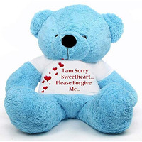 Hug 'N' Feel Soft Toys  Teddy Bear Wearing I Am Sorry Sweetheart Please Forgive Me T-Shirt, 5 Feet, Blue Plush & Stuffed Toys