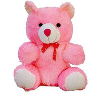 Hug 'N' Feel Soft Toys 2 Feet Long Soft Lovable Hugable Cute Xtra Large Teddy Bear Pink Plush & Stuffed Toys (Best For Someone Really Special) 60 Cm