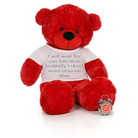 Hug 'N' Feel Soft Toys Big Teddy Bear Wearing I Will Wait For You Because Honestly I Don'T Want Anyone Else T-Shirt 3 Feet Red_T Shirt_I Will Wait For You Plush & Stuffed Toys