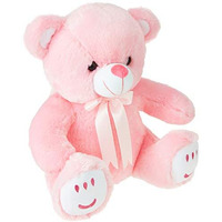 Hug 'N' Feel Soft Toys Teddy Bear, Cute, Soft Toy (33 Cm,Pink), Great Birthday Gift