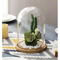 Kraftyhome Decorative Cake Dome | Wooden Cake Stand With Cloche/Dome | Decorative Clear Glass Dome, Cloche Bell Jar Display | Dessert Dome | Cake Dome - 6 X 9 Inch